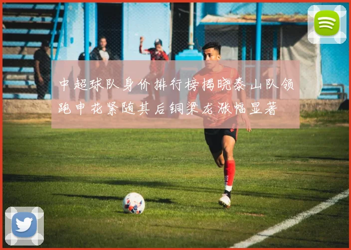 中超球队身价排行榜揭晓泰山队领跑申花紧随其后铜梁龙涨幅显著